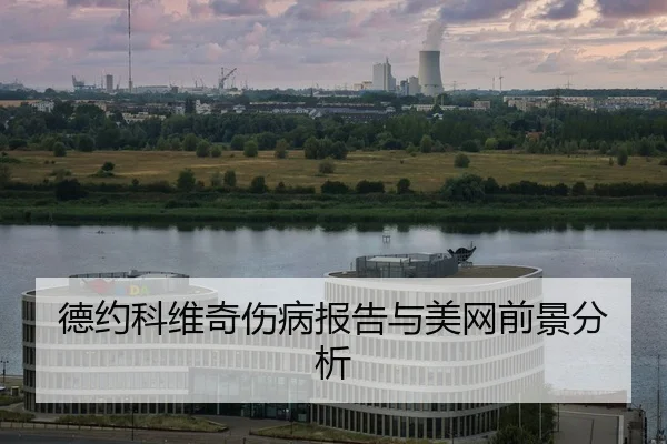 de-yue-ke-wei-qi-shang-bing-bao-gao-yu-mei-wang-qian-jing-fen-xi-2-231.jpg