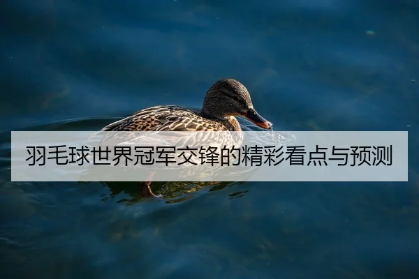 羽毛球世界冠军交锋的精彩看点与预测